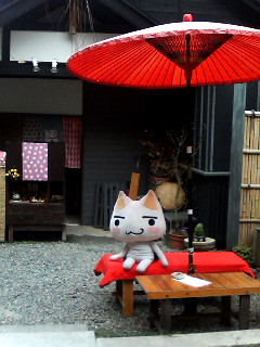 ���c�ɗ��܂����B