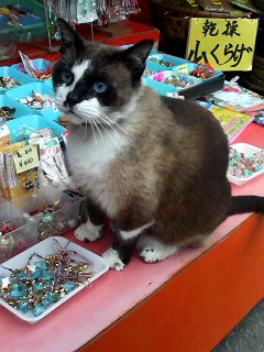 ���l�j�����R����