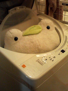 ���������Y��ɂȂ����̂�