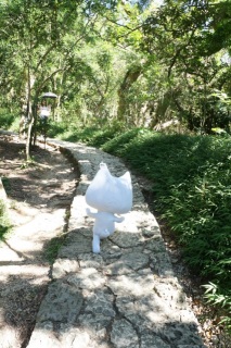 ������������