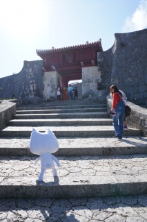 �K�i������