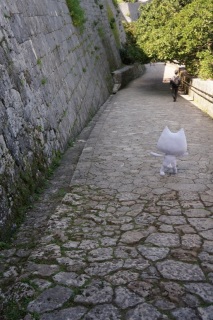 �����Ƃ���