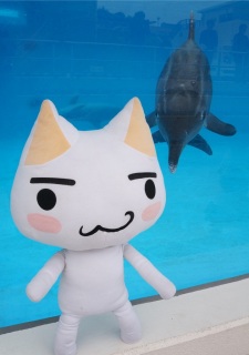 �C���J�����