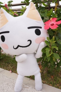 �n�C�r�X�J�X