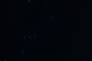 �_�̐؂�ڂ���