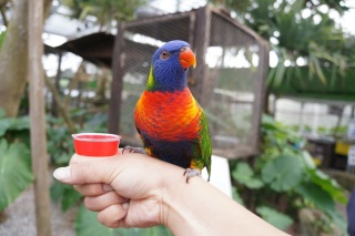 ���ɉa��肵����