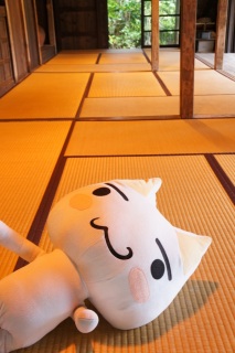 ������Ƌx�e