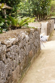 �������ɂ�