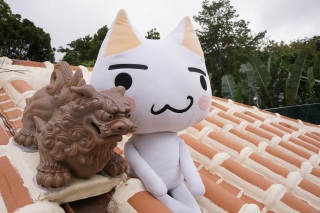 �����ɉƂɒ������[