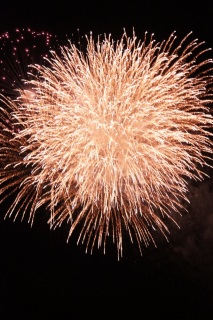 �C�N�X�s�A���������