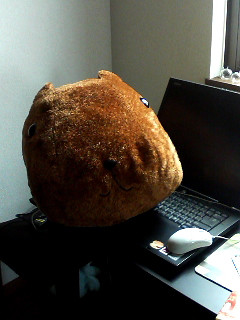 �ǂ��䂤���I�H