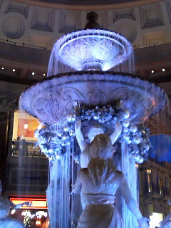 ����� VenusFort