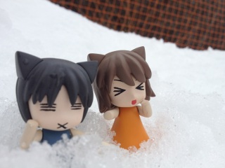 �X�L�[�ɂ��܂����I