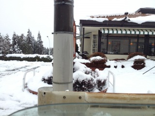 ������������C�z��