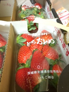 �Ƃ����Ƃ�