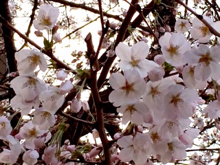 ������[�I