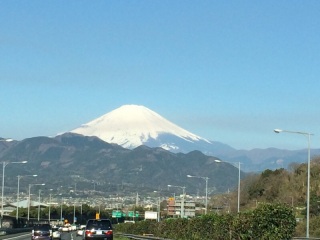 �t�W�T�[�����ꂢ