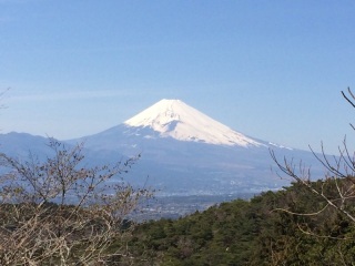 �ɓ��X�J�C���C��