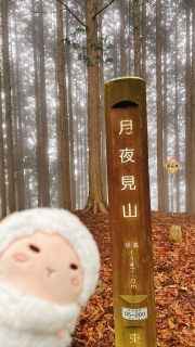 錩RR⛰️