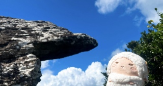 ̗͗]ĂPƓoR