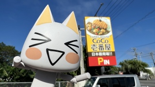 {œ[CoCoԉ
