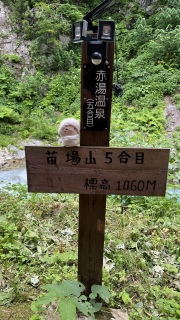 cRRɂ̂s