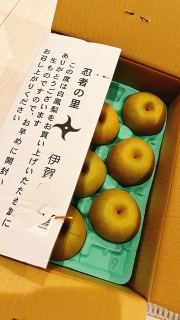 ^񂠂肪Ƃ܂[🥰