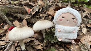 ̂🍄‍🟫