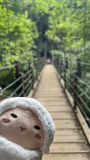 ݂苴