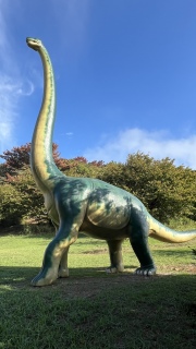 🦕