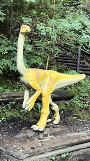 OYꂽ