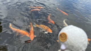 Ɍ