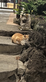 Ă邠肪Ă