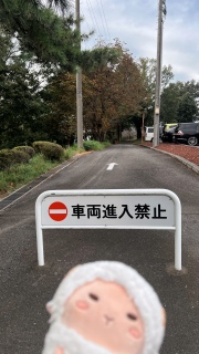 iI