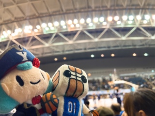 今日ここ