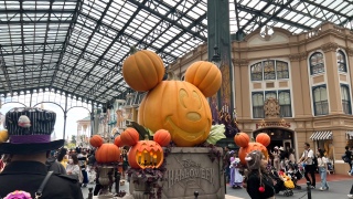 Dハロ🎃