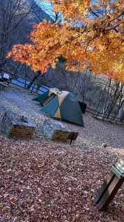 ���e���g�I