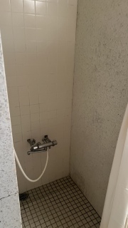 �V�����[�������čō��ɏ�����