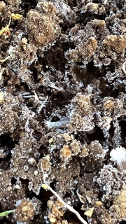 ���N���Ԃ�ɑ��������I