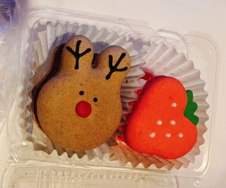 �g�D���J���������