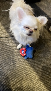 �����̂��Ȃ�����