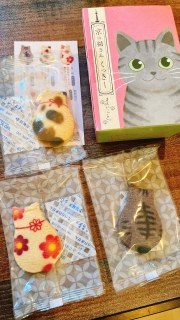 �l�R�N�b�L�[