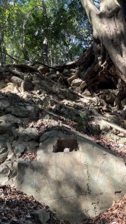 �Ȃ񂩂�����������