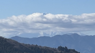 �x�m�R������傾��