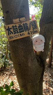 ���ۋȗւ̓�