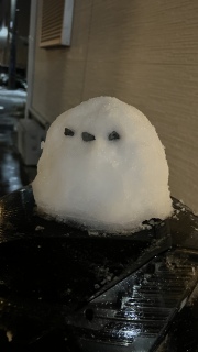 �V�}�G�i�K����