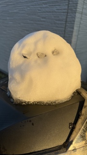 �V�}�G�i�K�����Ă�