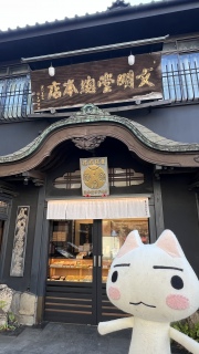 �������{�X����