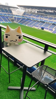 ��������̃X�^�W�A��🏟️