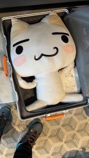 �`�F�b�N�A�E�g�����I